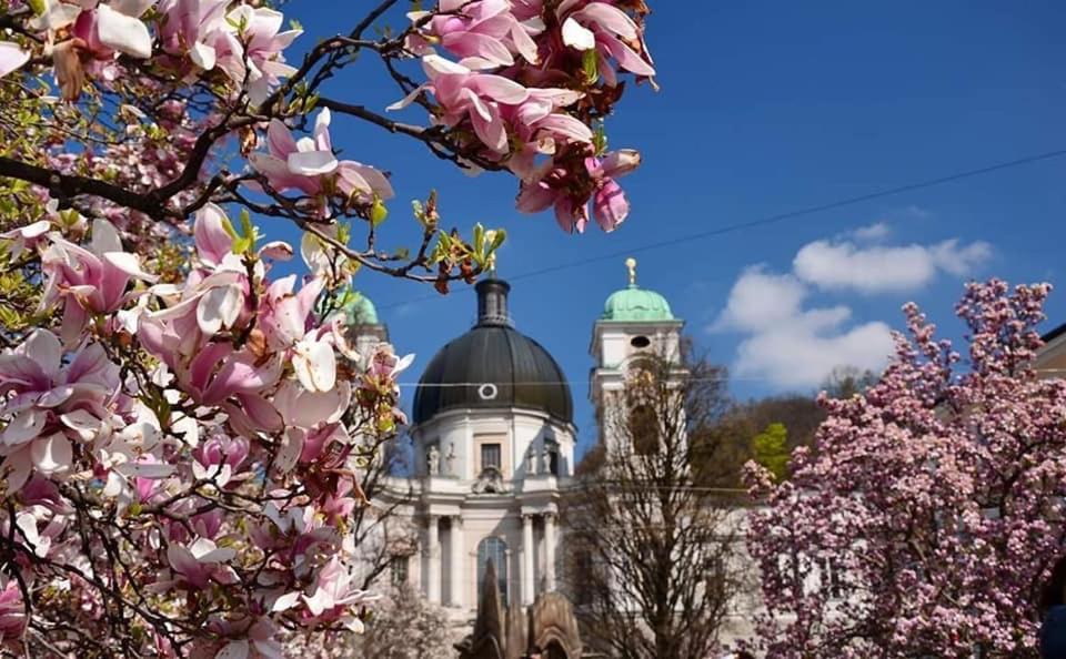 Hotel Vogelweiderhof Salzburg Ngoại thất bức ảnh